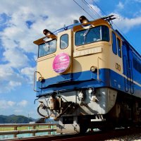 きさらぎ (@t25955116827879) 's Twitter Profile Photo きさらぎ (@t25955116827879) 's Twitter Profile Photo