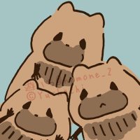 ひな🐤 (@hnknsyo) 's Twitter Profile Photo ひな🐤 (@hnknsyo) 's Twitter Profile Photo