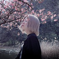 みけ (@mike_317) 's Twitter Profile