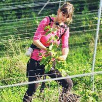 Weingarten Kersten (@weinkersten) Twitter profile photo
