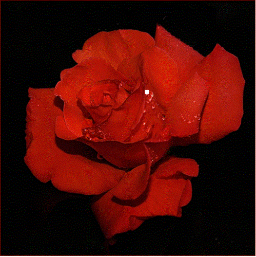 lolo2h's profile picture. 