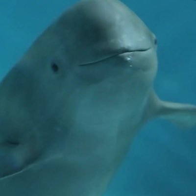 wedolpn's profile picture. https://t.co/v5284VDSgB 트윗 캡처하지 마세요