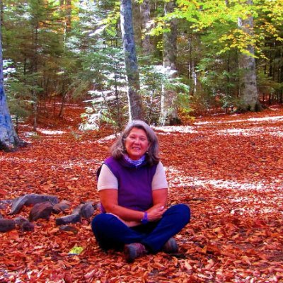 a4fe3a8f6793473's profile picture. 