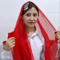 🌲Tahira Farzad🌲 (@tahirafarzad) 's Twitter Profile