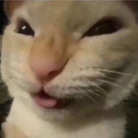 식무 (@si1cmu) 's Twitter Profile