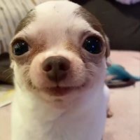 슈코코코 (@jbb129dshb) 's Twitter Profile Photo 슈코코코 (@jbb129dshb) 's Twitter Profile Photo