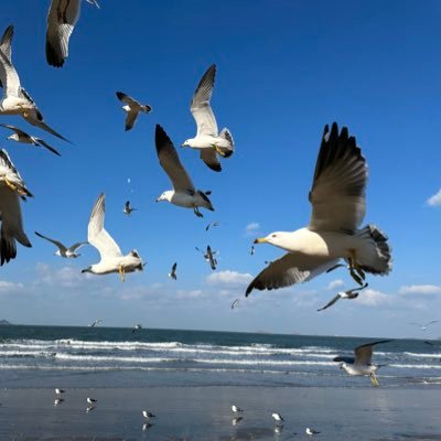 smart_kai_'s profile picture. 