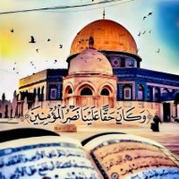 Mohamed Atef Gadalreb (@atfmhmd31098) 's Twitter Profile Photo Mohamed Atef Gadalreb (@atfmhmd31098) 's Twitter Profile Photo
