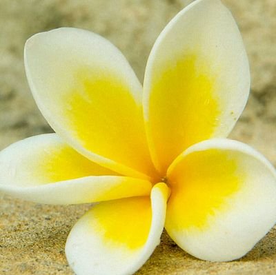 CollarYellow's profile picture. 気が向いた時にポストします📱

だいたいいつも、ぼーっとしています。