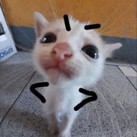 Zzzzzzsrt (@zzzzzzzsrrt) 's Twitter Profile