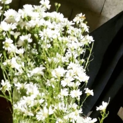 keyraelli's profile picture. let me get what i want.