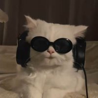 Jojo (@jenooomoroll) 's Twitter Profile
