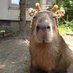 Zuza (@htr9kk) Twitter profile photo Zuza (@htr9kk) Twitter profile photo