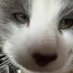 Coco (@cocounet) Twitter profile photo Coco (@cocounet) Twitter profile photo