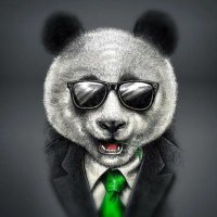 MoHamed (@mohamed88719196) Twitter profile photo