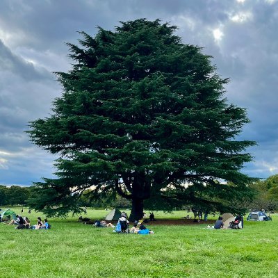 shun9986's profile picture. Go / 認証基盤開発 / Devin / 小規模保守プロダクトの運用自動化
https://t.co/nciRvcmlIl