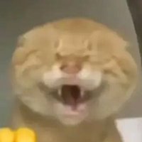 Leopard_Prince (@leopardprince2) 's Twitter Profile Photo