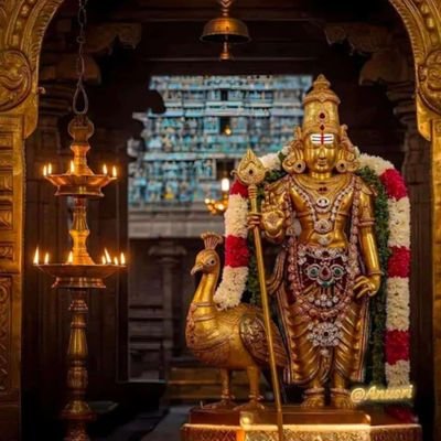 siddu0458's profile picture. 