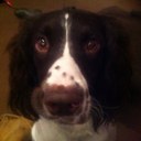 bamford85 - @DanielBamford85 - Twitter