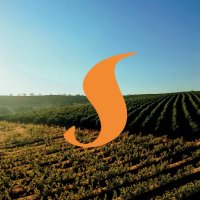 Revista Espresso (@revistaespresso) 's Twitter Profile Photo Revista Espresso (@revistaespresso) 's Twitter Profile Photo
