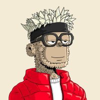 218M 🐅 🐯 (@riderswine) 's Twitter Profile Photo