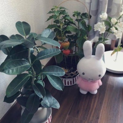🌱 Profile