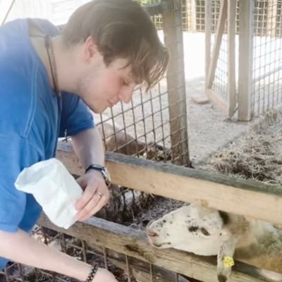 BoxHarrison's profile picture. Policy Officer / Socialist