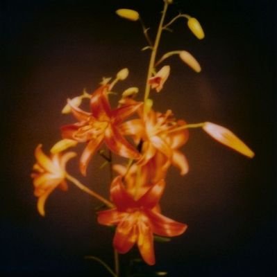 miffyloves_'s profile picture. —the girl i won't be is the one that's yours