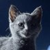 Маленький кот (@smallkot) Twitter profile photo Маленький кот (@smallkot) Twitter profile photo