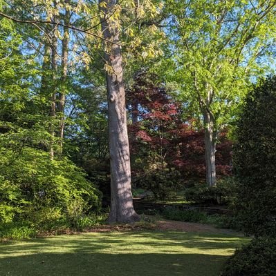 korankye_trp's profile picture. Presidential Fellow & Philosophy PhD Student @universityofga | MA Philosophy @KentState | Logic, Epistemology & AI | Ɔdadeɛ | avid gamer