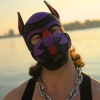 Pup Fuze (@pupfuze) 's Twitter Profile Photo