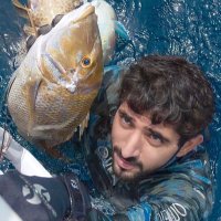 fazza hamdan (@fazzahamdan118) 's Twitter Profile
