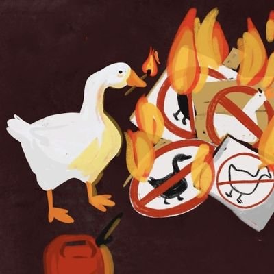 Elhanchik's profile picture. Daba, ceļojumi, zoss.