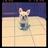 Chachopapo's profile image