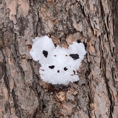 Ora__ngeee's profile picture. 北大総合理系 #春から北大