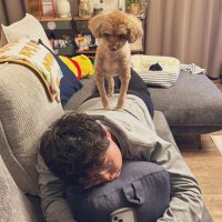 奥山 尋冬 (@cbdbo) Twitter profile photo