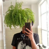 caspian tiger (@dejenosbailar) 's Twitter Profile Photo caspian tiger (@dejenosbailar) 's Twitter Profile Photo
