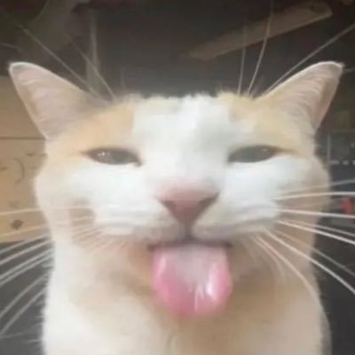 JorgeGu08964506's profile picture. Poop