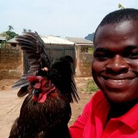 JOSEPH-MARK OLAONIPEKUN AJAYI (@biigjoe_) 's Twitter Profile Photo JOSEPH-MARK OLAONIPEKUN AJAYI (@biigjoe_) 's Twitter Profile Photo