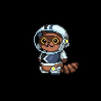 Space Racoons MX Profile