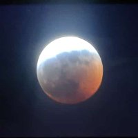 Jhon (@jhond1325) 's Twitter Profile