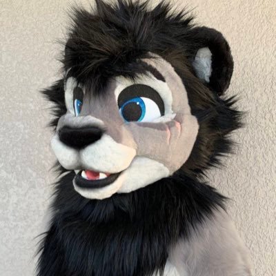 Fursuit maker and seller – bringing characters to life!🧸🧸🧸❤️