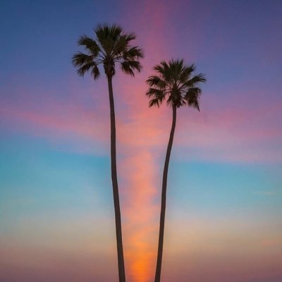 JamieWittie's profile picture. if you’re in Vegas hit me up 🤙