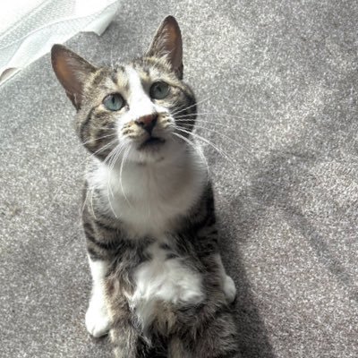 lkoa_'s profile picture. 