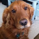 Conor Moore - @Conor04 - Twitter