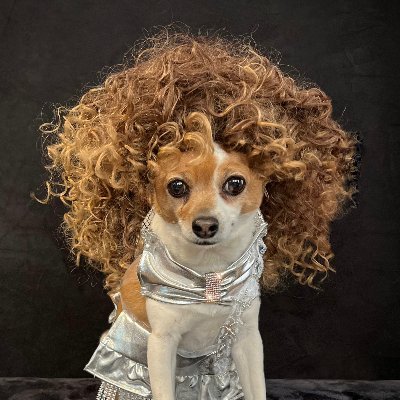 2X Webby Award Winner! “Top Dog of Drag