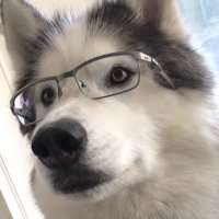 dinokwon ë (@din_o_o) 's Twitter Profile