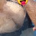 casaiseprazer (@casaiseprazer) Twitter profile photo casaiseprazer (@casaiseprazer) Twitter profile photo