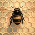 Busy (@busy_bee_me) Twitter profile photo Busy (@busy_bee_me) Twitter profile photo