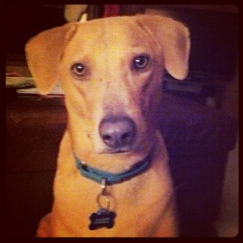 MMFMarshall's profile picture. 